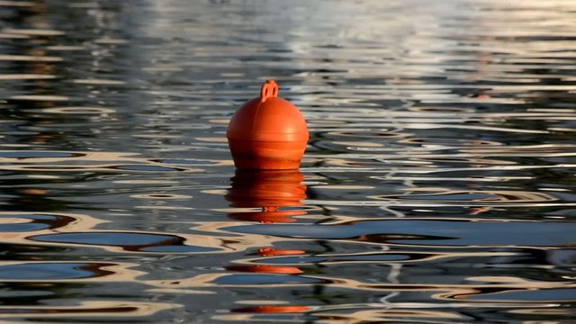 Boje im ruhigem Fahrwasser