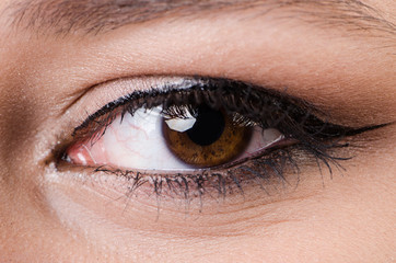 Close up of woman eye