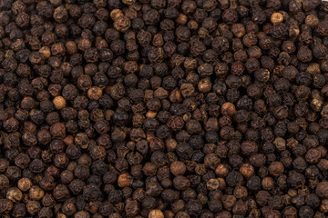 Black pepper zoomed in on