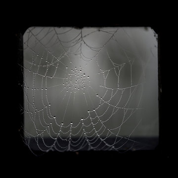 Spooky cobweb