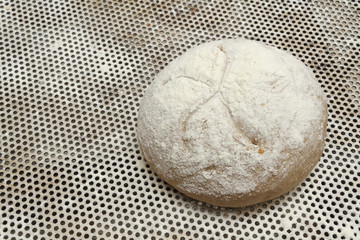 Making of bakery products in bakery shop