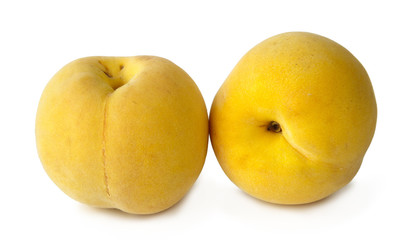 yellow peaches on white background