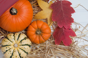 Fall Harveset in Straw with leaves