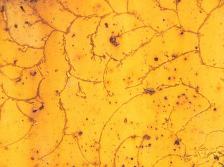 grunge metal background