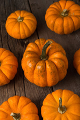 White Pumpkins in Group