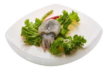 Raw cuttlefish