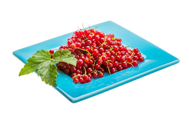 Red currant