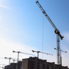 Building cranes on construction