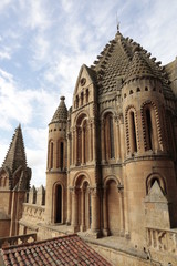 Fototapeta na wymiar Catedral de Salamanca, detalle.