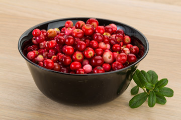 Cowberry
