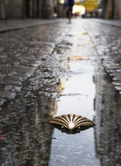 Symbol of the camino de santiago
