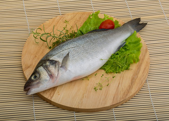 Raw seabass
