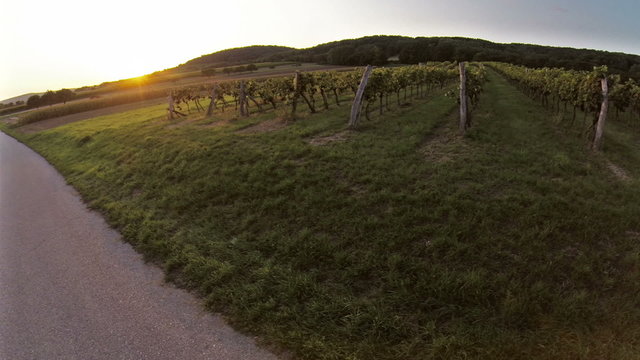 Sunset over winery aerial footage