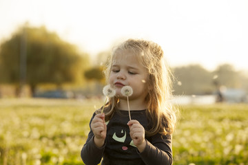 Little Girl Playing With Dandelion Flowers On Field Outdoor