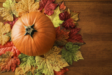 Rustic Autumn Concept