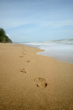 Footprints in the sand, walking away.