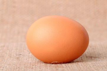 Egg on sackcloth background