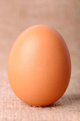 Egg on sackcloth background