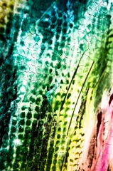 Foto op Aluminium Farben Malerei abstrakt Struktur grün © artefacti