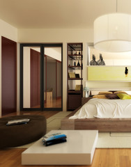 Luxury Sleeping Apartment (focus)