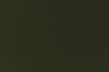 green leather background or texture