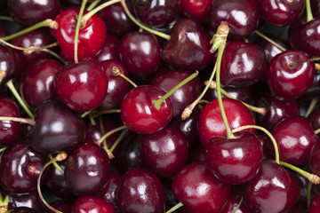 Sweet cherry