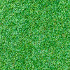 Seamless green grass texture from golf course