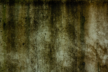 Old concrete wall and moss.