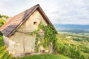 Fototapeta premium Vineyard cottage.