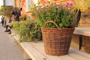 плетёная корзина на деревянной подставке