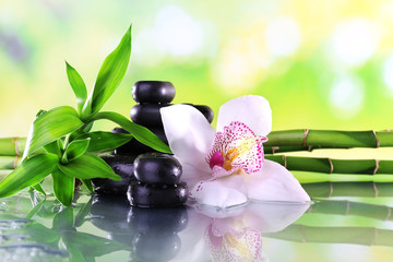 Obrazy na Plexi  Kamienie spa, gałęzie bambusa i biała orchidea