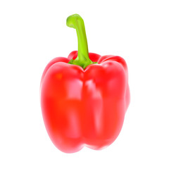 Colored Fresh Sweet Pepper Vector Isolated on White Background.