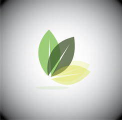 leaf icon vector