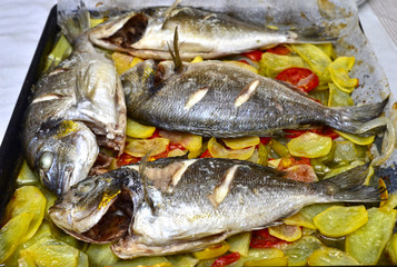 Doradas al horno