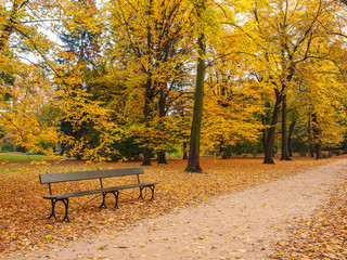 Autumn colors in the city park. Gold fall.