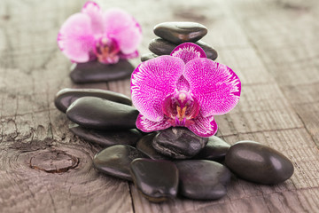 Fototapeta na wymiar Fuchsia Moth Orchids and black stones on weathered deck
