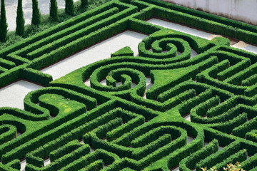 Obraz premium Labyrinth