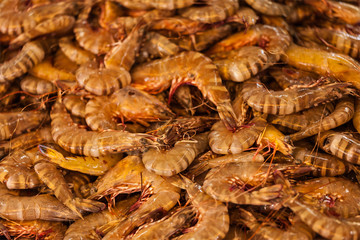 Shrimps close up