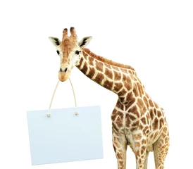 Rolgordijnen Giraf Giraf met uithangbord