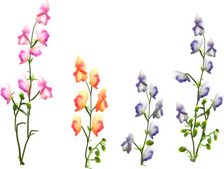 Naklejka na ściany i meble isolated color flowers on long stems