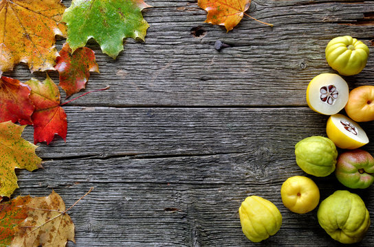 Herbstbl&auml;tter und Quitten
