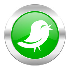 twitter green circle chrome web icon isolated