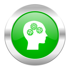 head green circle chrome web icon isolated