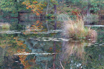 wild lake in autumn season