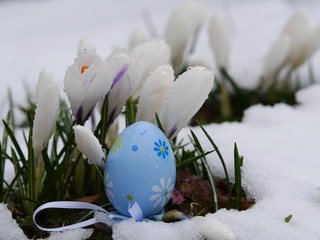 easter eggs laying snow flowers