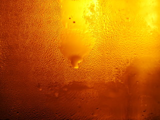beer fresh cold