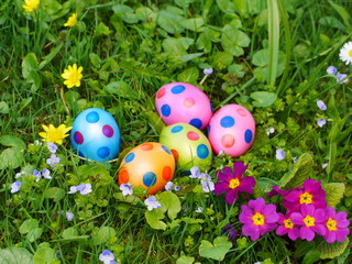 easter eggs lawn
