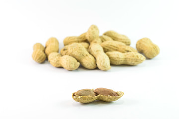 Dried peanuts