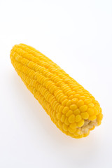 Corn isolated on white background
