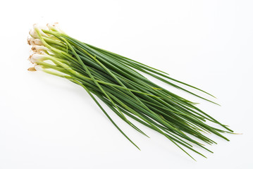 spring onion isolated on white background